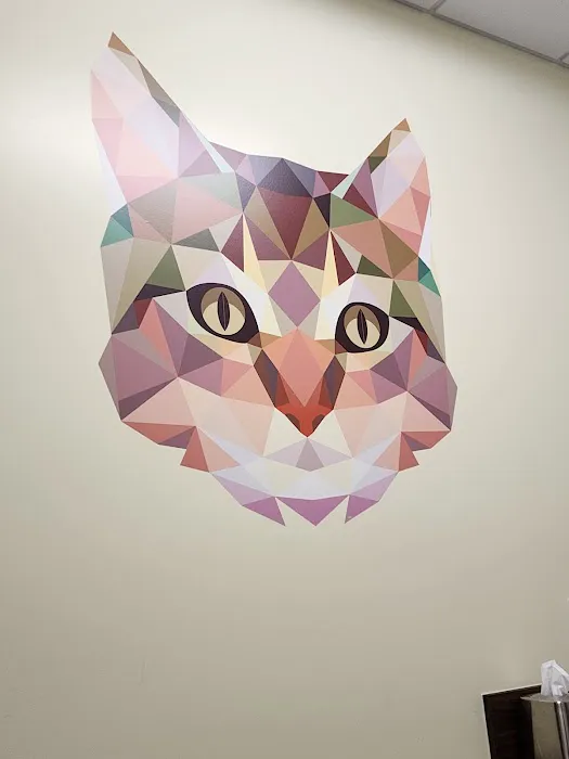 Animal Cancer Care Clinic 12