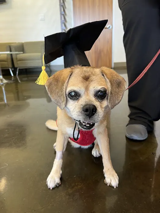 Animal Cancer Care Clinic 12