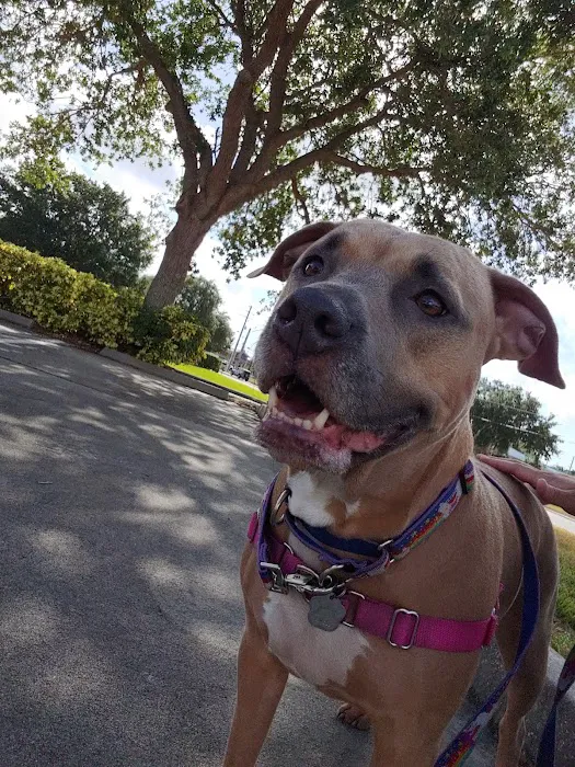 Animal Cancer Care Clinic 12