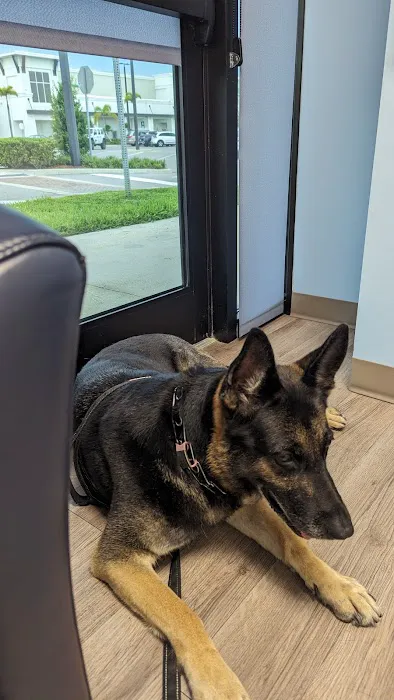 West Villages Animal Clinic 12