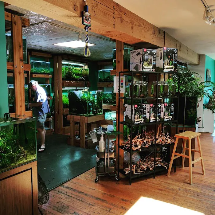 Aquarium Zen, LLC 6