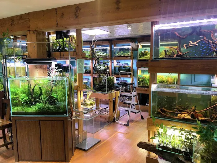 Aquarium Zen, LLC 2