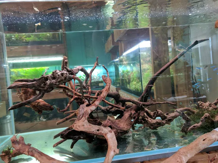 Aquarium Zen, LLC 5