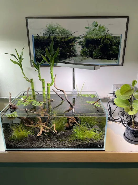 Aquarium Zen, LLC 10