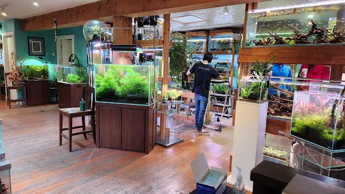 Aquarium Zen, LLC 3