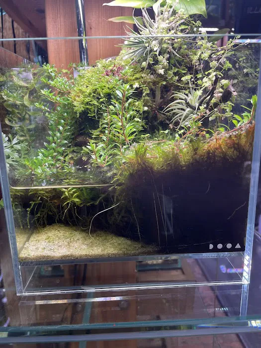 Aquarium Zen, LLC 4