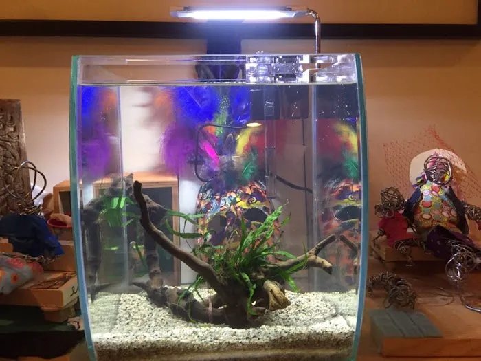 Aquarium Zen, LLC 1