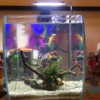 Aquarium Zen, LLC ico