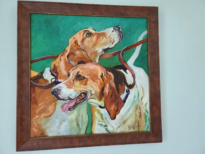 Gulf Shore Veterinary Specialty Surgery 12