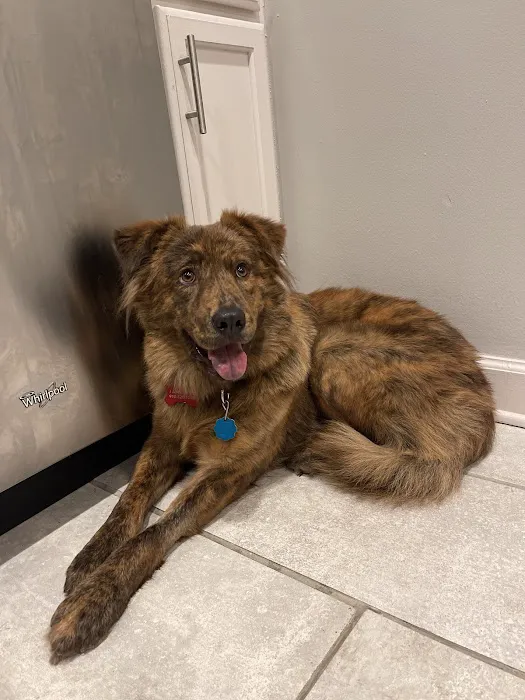 New Hope Veterinary Hospital 7