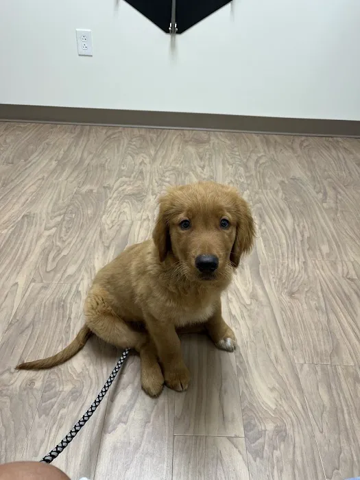 New Hope Veterinary Hospital 4