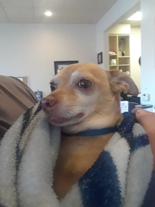 South Point Pet Hospital 12
