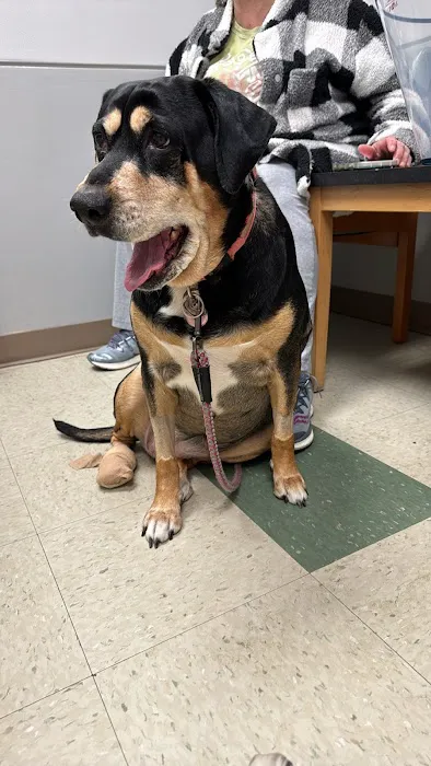 South Point Pet Hospital 12