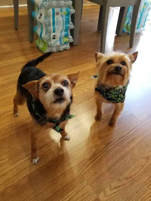 Catawba Heights Animal Hospital 12