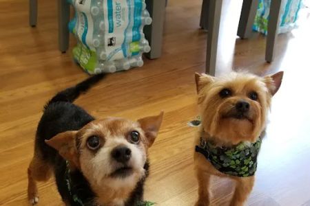 Catawba Heights Animal Hospital