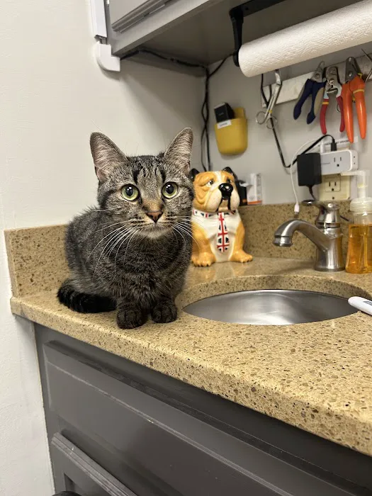 Catawba Heights Animal Hospital 12