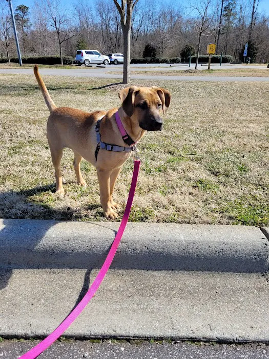 Catawba Heights Animal Hospital 12