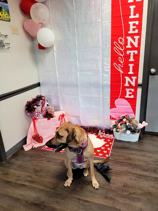 Catawba Heights Animal Hospital 12