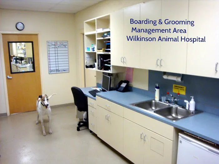 Wilkinson Animal Hospital 12