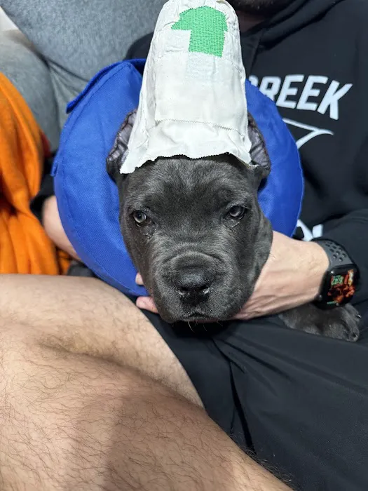 Dickson Animal Clinic 12