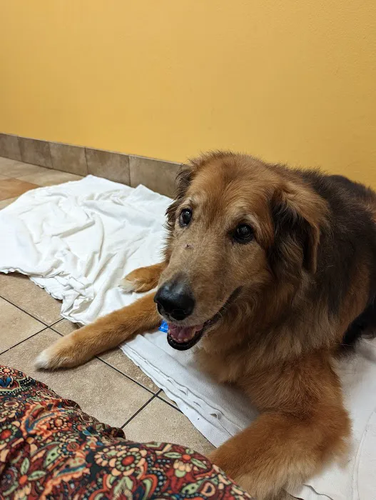 Banfield Pet Hospital 12