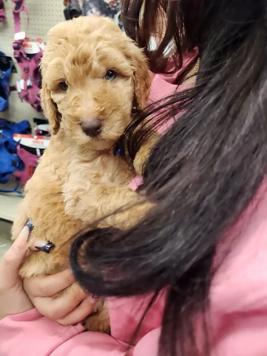 Banfield Pet Hospital 12