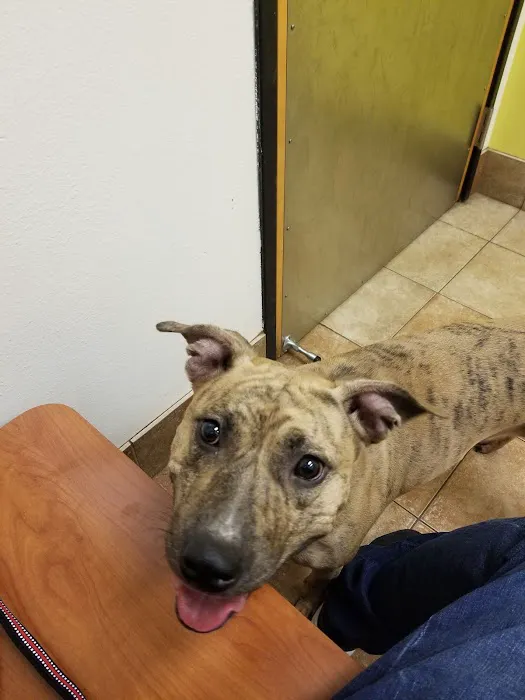 Banfield Pet Hospital 12