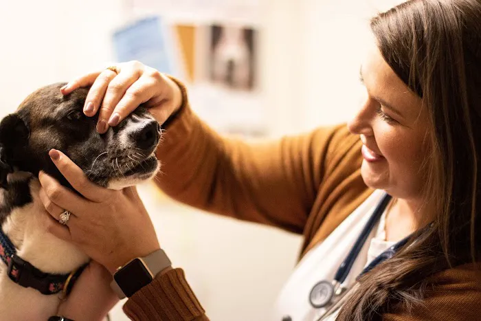 TotalBond Veterinary Hospital at Bethel 12