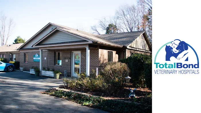 TotalBond Veterinary Hospital at Bethel 12