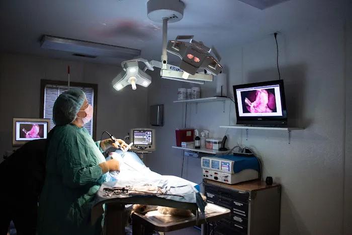 TotalBond Veterinary Hospital at Bethel 12