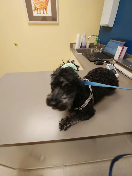 Colonial Animal Hospital 10