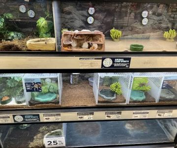 Petco
