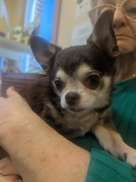 West Stanly Animal Clinic 2