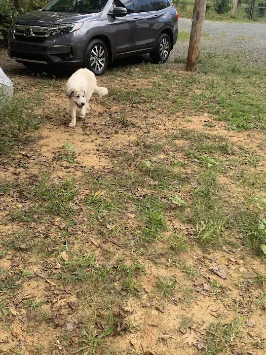 West Stanly Animal Clinic 9