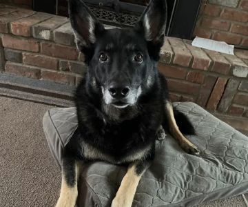 Orion Animal Care Center