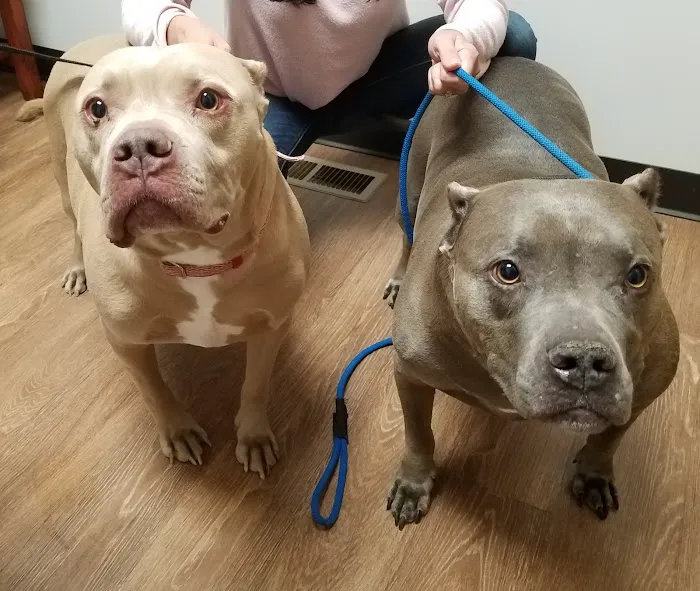 Orion Animal Care Center 7