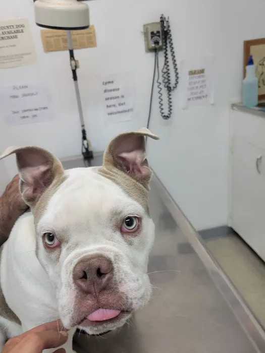 Bloomfield Pointe Veterinary Hospital 7