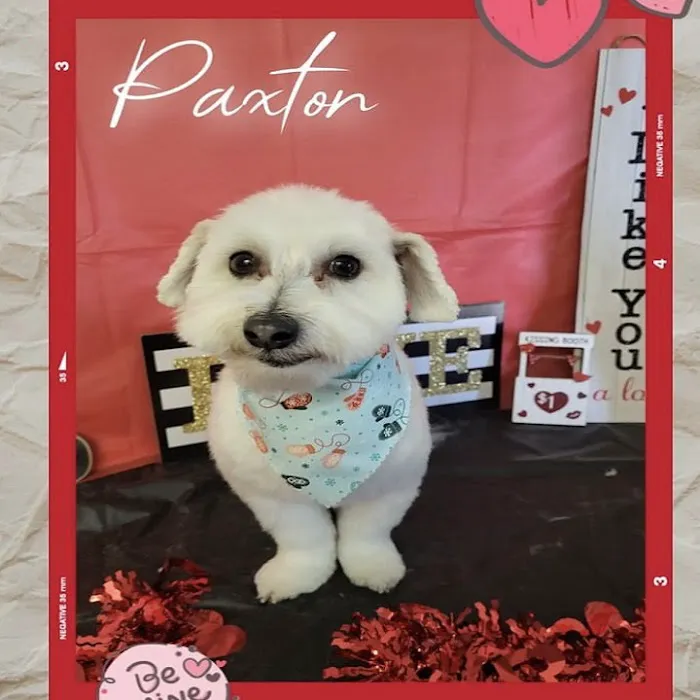 Bloomfield Pointe Veterinary Hospital 4
