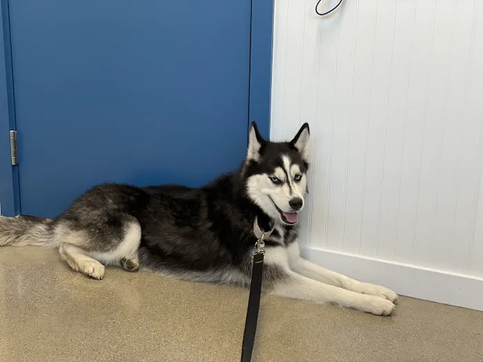 Burrwood Veterinary 3