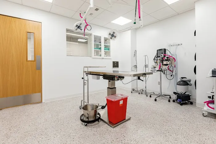 Burrwood Veterinary 9