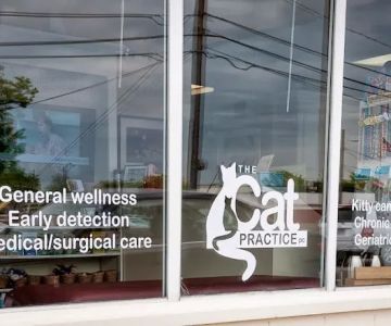 The Cat Practice pc