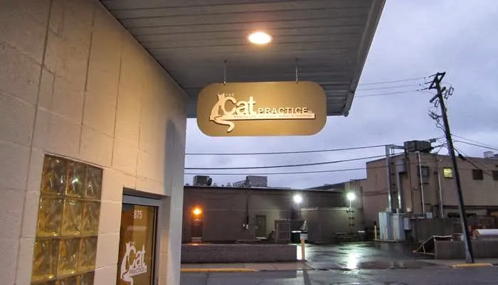 The Cat Practice pc 2