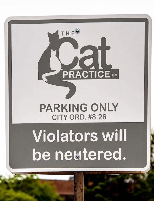 The Cat Practice pc 5