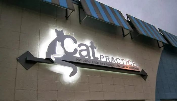 The Cat Practice pc 7