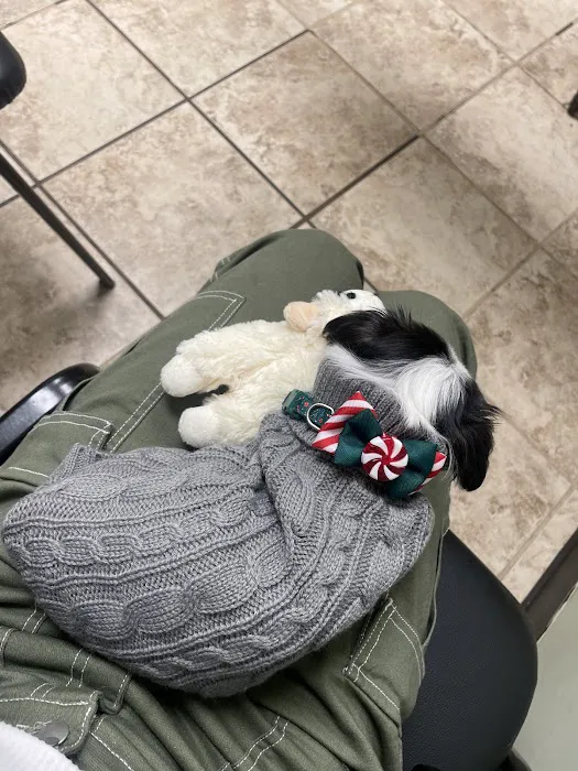 Luv-N-Care Animal Hospital 8