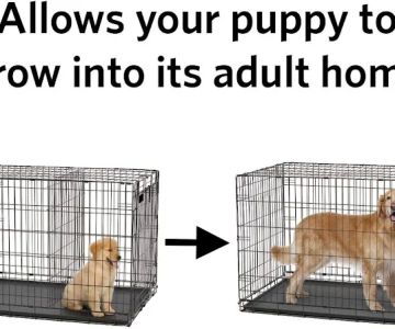 XL Canine Crates: Stylish, Durable Dog Crates for Large Breeds. Secure Kennels, Spacious Design, Portable Comfort.