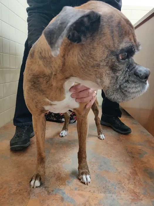 West Clay Animal Hospital: J. T. Saranita DVM 12