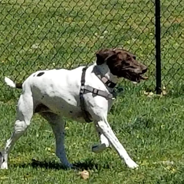 Banfield Pet Hospital 7
