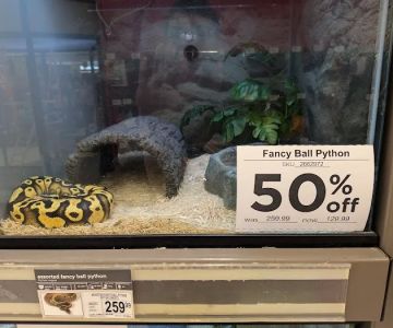 Petco
