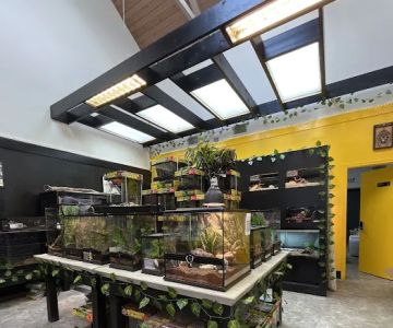 Spider Shoppe Exotic Pets & Supplies